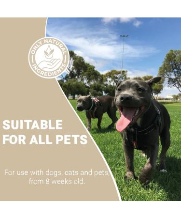 Pets Purest Paw Moisturising Spray - Natural Antiseptic Antibacterial Remedy for Dogs, Cats & Pets - Soothes Dry Paws, Cracked Skin & Wound Repair - 65ml - Buy Online on GoSupps.com