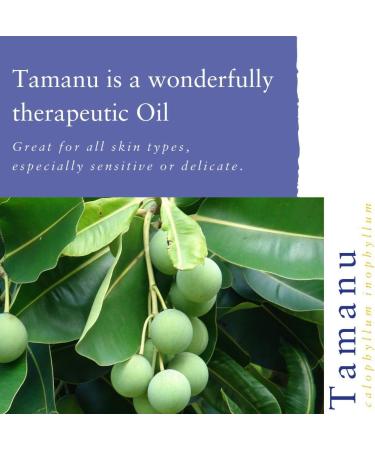 Absolute Aromas Tamanu Essential Oil 50ml - Pure Natural Unrefined Cold Pressed Vegan Non-GMO - Natural Moisturizer for Nails Skin and Hair - Buy Online on GoSupps.com