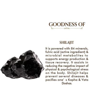 ORGANIZE TAC The Ayurveda Co 100 Pure & Natural ShilajitShilajeet Raw Liquid Resin Increases Performance Immunity Metabolism Stamina 20gm - Buy Online on GoSupps.com