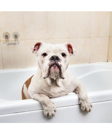 Iv San Bernard 020565 Trad Pek Conditioner 5000 ml - Buy Online on GoSupps.com