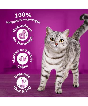 Whiskas Adult 1+ Dry Cat Food Chicken - 5x800g Packs - Premium Dry Food for Cats - International Shipping Available - Buy Online on GoSupps.com