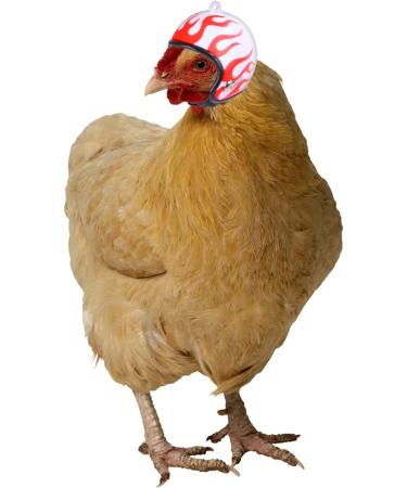 Allazone 3-Piece Chicken Helmet Set | Protective Pet Bird Hat & Chicken Arms for Chicks | International Shipping Available - Buy Online on GoSupps.com