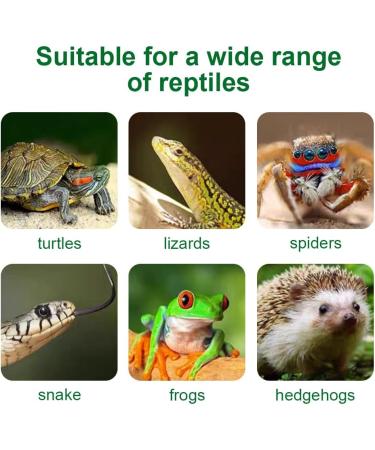 Zjrung 50W Turtle Heat Lamp - Rotatable UVA/UVB Reptile Terrarium Light with Clip & Temperature Tester for Turtles Lizards Snakes & Spiders - Buy Online on GoSupps.com