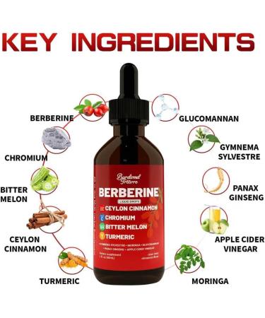 Berberine Drops with Ceylon Cinnamon Supplement Berberine HCL Chromium Bitter Melon & Turmeric Liquid Drops for Immune Health & Metabolic Support Fast Absorption - 4 fl oz 2 Fl Oz (Pack of 2) - Buy Online on GoSupps.com