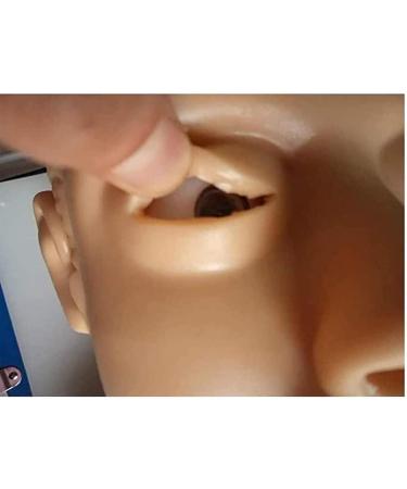 AYGJKIE Advanced Intubation Head Trainer | Study Model for Airway Management Simulator - International Shipping Available - Buy Online on GoSupps.com
