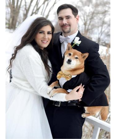 Black Dog Tuxedo Costume with Bow Tie for Halloween, Wedding, and Parties - Medium Size - Buy Online on GoSupps.com