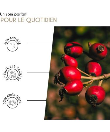 Organic Rosehip Oil Vegan Organic Ecocert Cosmebio CAP COSMETICS Made in France - Buy Online on GoSupps.com