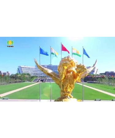  Anadoludan Sofraniza LIPID METABOLIC MANAGEMENT TEA - Buy Online on GoSupps.com