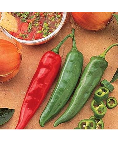 Portal Cool 5 - Semi: Semi di Hybrid Hot Pepper Salsa F1 da giardino - Per fare Salsa e Salsa Picante. !