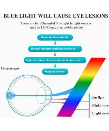 ZENNI Blue Light Blocking Glasses for Men & Women - Grey Browline Eyewear to Relieve Digital Screen Eye Strain - Buy Online on GoSupps.com