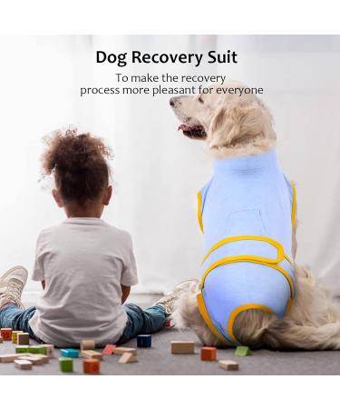Kuoser Light Blue Dog Recovery Suit | Anti-Lick & Leakage Protection | XS for Male & Female Dogs After Surgery - Buy Online on GoSupps.com
