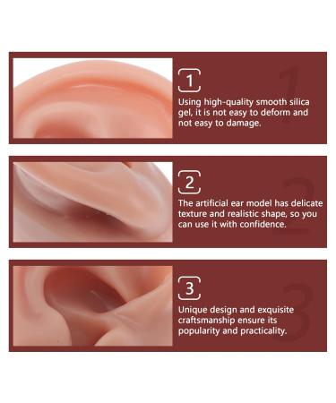 Professional Silicone Human Ear Model for Piercing Training | Kichvoe 1stk Ear Simulation Tool for Students & Teaching Aids - Buy Online on GoSupps.com