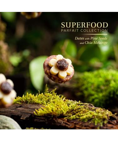 Laumire Gourmet Fruits Superfood Parfait Collection Gift Basket - No Added Sugar, Gluten Free Dried Fruit Mix - Rectangle & Square (Square) - Buy Online on GoSupps.com
