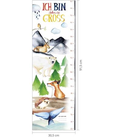 Close Up Height Chart Poster for Kids | Children s Room Wall Picture | 30 x 91.5 cm | Perfect for Boys & Girls - Buy Online on GoSupps.com