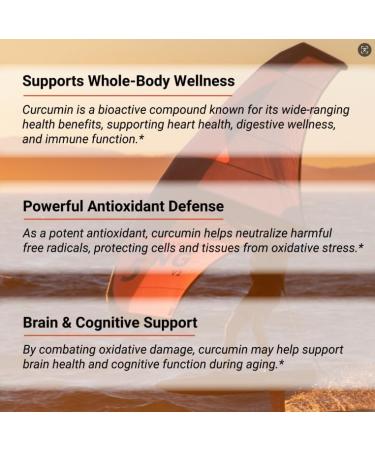 Naturalis NovaSOL Curcumin (5 550mg Curcuminoids Equivalent Per Serving) - Clinical Proven with 185X Better Absorption | Antioxidant Support for Brain Joint & Immune Health* | 30 Servings - Buy Online on GoSupps.com