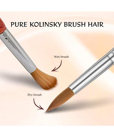 Aokitec #12 Oval Crimped Sable Acrylic Nail Brush - Wood Nail Art Tool for Acrylic Application - Buy Online on GoSupps.com