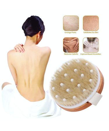 Uervoton Dry Body Brush - Natural Bristles for Exfoliation Cellulite Reduction & Lymphatic Health - International Shipping Available - Buy Online on GoSupps.com
