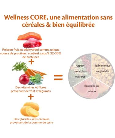 Wellness Core Ocean Natural and Grain-Free Dry Dog Food for Large and Medium Dogs Salmon/Tuna 1.8 kg - Buy Online on GoSupps.com