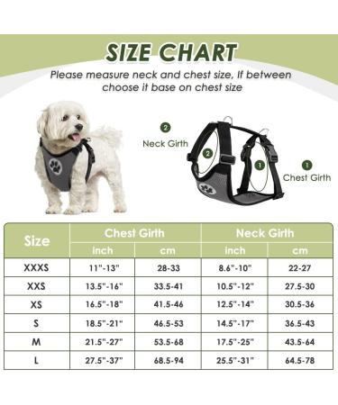 Slowton XXS Dog Harness with Safety Belt for Car - Breathable Latex Puppy Harness for Everyday Sports - Gray - Buy Online on GoSupps.com