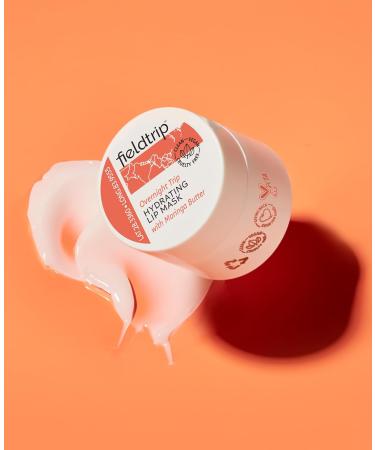 Fieldtrip Starter Set | Premium Quality for Your Adventures | International Shipping Available - Buy Online on GoSupps.com