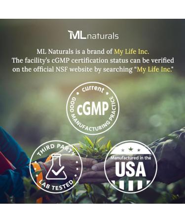 ML Naturals Micronized Creatine Monohydrate 200 Mesh Powder 500g (17.9oz) 100 Serving Pure & Unflavored Vegan Gluten Free Non-GMO Third-Party Lab Tested 500g (Pack of 1) - Buy Online on GoSupps.com