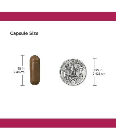 TheraCran One Cranberry Supplement | 36mg PACs | Made in USA | 90 Day Supply - Buy Online on GoSupps.com