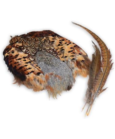 Romneys Pheasant Dummy 500g | Real Plumage & Feather Training Dummy for Hunting Dogs | Floatable Wild Dummy - Buy Online on GoSupps.com