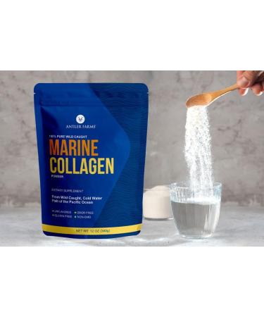 Antler Farms - 100% Pure Clean Marine Collagen Powder from Wild Caught Pacific Snapper 12 oz Soluble in Hot or Cold Liquids Highly Bioavailable Rapid Absorption No Taste or Smell - Buy Online on GoSupps.com