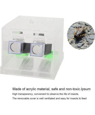 Cricket Pen Acrylic Cricket Feeding Box with Feces Layer Keep Cricket Feeding Neat and Tidy Convenient for Cricket and Pet(L) - Buy Online on GoSupps.com