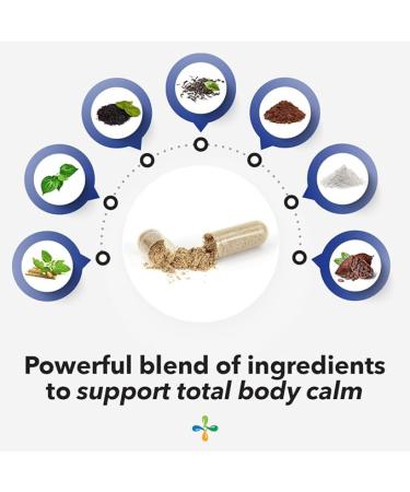 LifeSeasons Anxie-T Stress Support | 60 Vegetarian Capsules for Natural Anxiety Relief - Buy Online on GoSupps.com