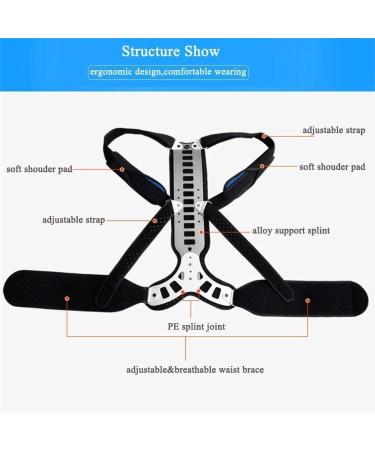 Waist Trainer 1pcs Posture Corrector Back Braces Shoulder Waist Lumbar Support Belt Waist Cincher(Large) Large Black - Buy Online on GoSupps.com