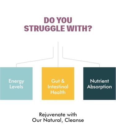 Easey Blast para-Cleanse 10 Day Gut Health Supplement with Pumpkin Seed Wormwood Black Walnut Garlic & More - 8oz Powder - Buy Online on GoSupps.com