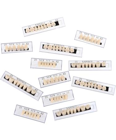 168 Pcs Dental Synthetic Resin Tooth Denture A3 Upper And Lower Acrylic Teeth Sets Acrylic Resin False Teeth for Halloween Horror Teeth - Buy Online on GoSupps.com