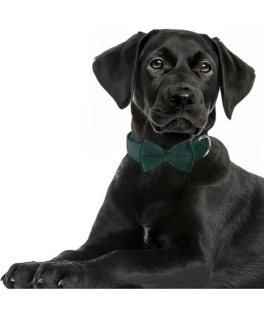 Asvin Velvety Dog Collar - Soft & Comfortable XL in Green with Removable Dog Fly | Perfect for Weddings Birthdays & Parties | Multi-Color Options Available - Buy Online on GoSupps.com