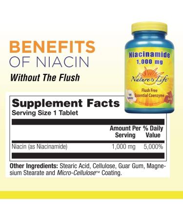 Nature's Life Niacinamide 1000 mg - 100 Tablets | Boost Skin Health & Energy - Buy Online on GoSupps.com