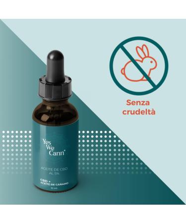 CBD Oil 5% Body Moisturizer 10 ml With Antioxidant Soothing and Regenerating Properties - Cruelty Free - 100% Natural Pure and Vegan - Yes We Cann - Buy Online on GoSupps.com