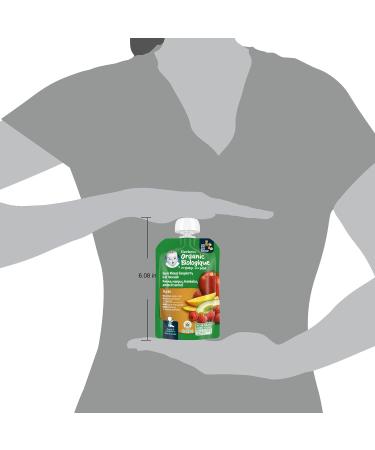 GERBER ORGANIC PUR E Apple Mango Raspberry Avocado Oat Baby Food Meal 6+ months 90 ml 12 Pack Packaging May Vary - Buy Online on GoSupps.com