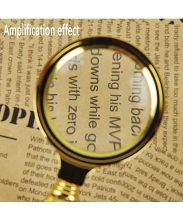 Metal Magnifier Handle with HD Old Student Light Reading Book 5X Made in China - Buy Online on GoSupps.com