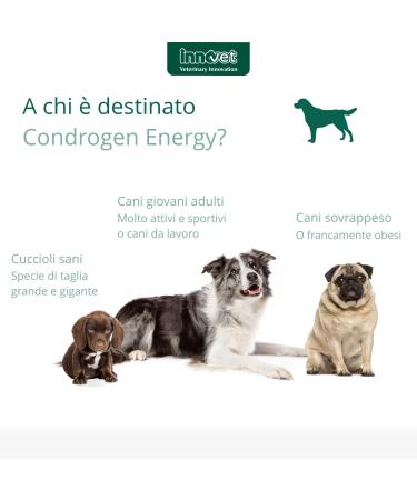 INNOVET Condrogen Energy 60 tablets - Buy Online on GoSupps.com