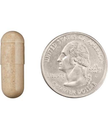 Revly Vegan Hair Skin & Nails Complex with Biotin 2000mcg - 90 Capsules - 3 Month Supply - Buy Online on GoSupps.com