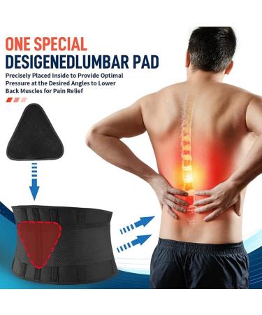 zutaa Back Brace for Lower Back Pain Back Support Belt for Women & Men Breathable Lower Back Brace with Lumbar Pad(L) Large - Buy Online on GoSupps.com