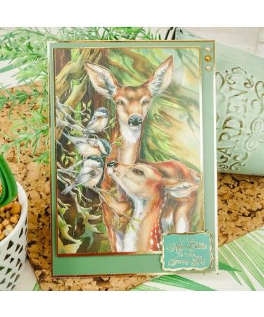 Hunkydory Crafts The Little Book of Animal Kingdom Second Season LBK271 | Shop Now - Buy Online on GoSupps.com