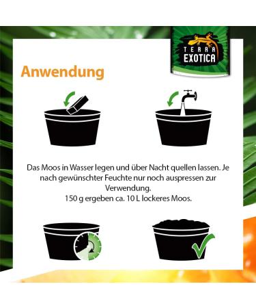 Terra Exotica Sphagnum Moss - Premium 300g Peat Moss for Garden Houseplants & Terrariums | Fast International Shipping - Buy Online on GoSupps.com