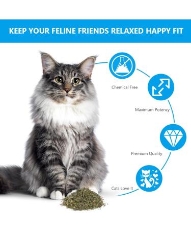 Osdue 100% Natural Catnip - Fillable Bags for Cat Toys Training & Games (50g) | Premium Catnip Mix for Scratching Trees & Beds - Buy Online on GoSupps.com