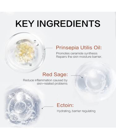 WINONA SPF 48+++ Face Sunscreen & Facial Serum with Portulaca Oleracea Extract - Lightweight Daily Moisturizing Sunscreen for Sensitive Skin - Buy Online on GoSupps.com