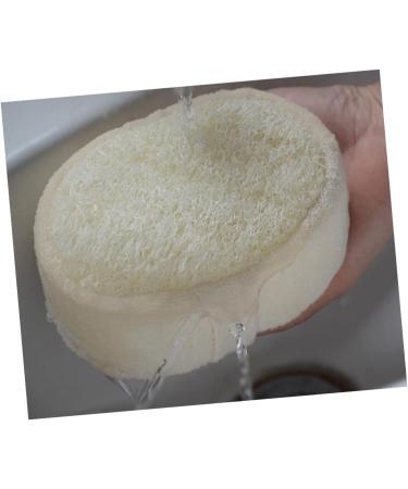 Natural Loofah Bath Kit - Healeved Exfoliating Sponges & Back Scrubber for Ultimate Body Wash - Ideal for Men & Women - Buy Online on GoSupps.com