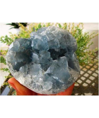 Natural Crystal Rough Natural Blue Celestite Cluster Geode Specimen Rock Gem for Home Decoration 1PC 500grams - Buy Online on GoSupps.com