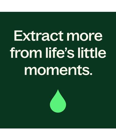 Plant Therapy Blue Tansy Essential Oil 100% Pure Undiluted Natural Aromatherapy Therapeutic Grade 2.5 mL (1/12 oz) 0.09 Fl Oz (Pack of 1) - Buy Online on GoSupps.com