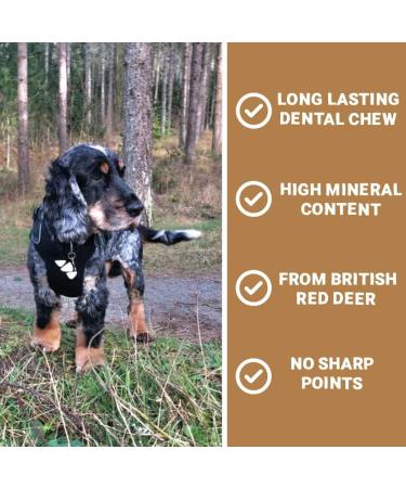 Pets Purest 100% Natural Red Deer Antlers for Dogs - 2 Small Stag Horn Bones - Premium Treat & Plaque Removal Chews - Buy Online on GoSupps.com