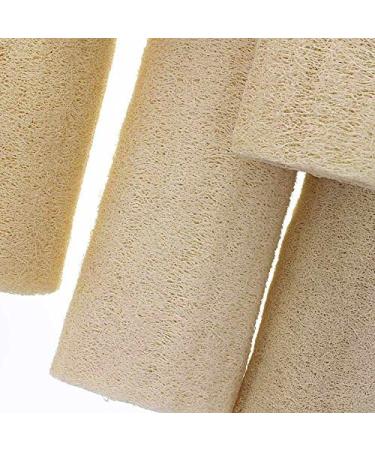 Buy Luffa Cucumber Sponge Set - Natural Fiber Sponges (10 19 34cm) - 3 Pieces for Eco-Friendly Cleansing | International Shipping Available - Buy Online on GoSupps.com
